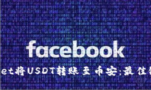 如何使用TP Wallet将USDT转账至币安：最佳链选择与操作指南
