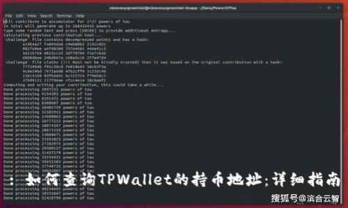 : 如何查询TPWallet的持币地址：详细指南