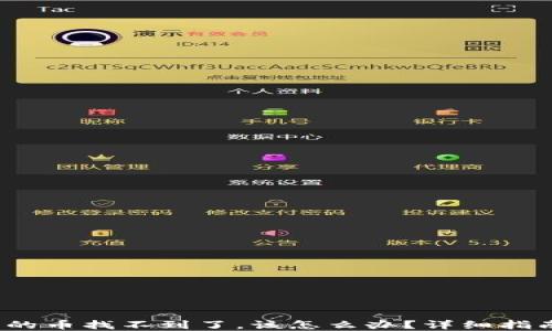 
TPWallet：我的币找不到了，该怎么办？详细指南与解决方案