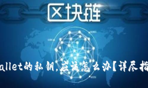 如果忘记TPWallet的私钥，应该怎么办？详尽指南与解决方案
