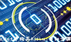 如何在TPWallet中购买Kishu：
