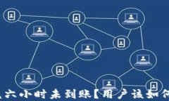tpwallet闪兑六小时未到账？