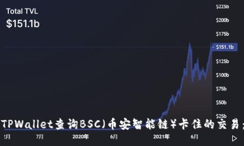 如何利用TPWallet查询BSC（币安智能链）卡住的交易：全面指南