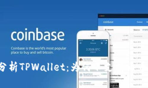 深入分析TPWallet：为何不支持币币兑换？