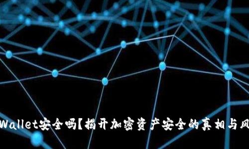 TPWallet安全吗？揭开加密资产安全的真相与风险