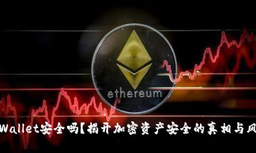 TPWallet安全吗？揭开加密资产安全的真相与风险