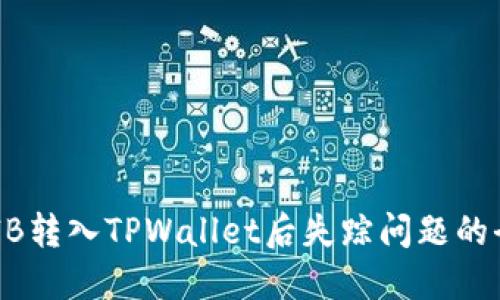 解决SHIB转入TPWallet后失踪问题的全面指南