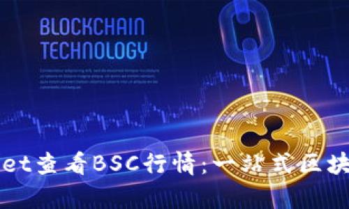 如何使用TPWallet查看BSC行情：一站式区块链行情分析指南