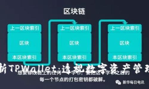 深入解析TPWallet：透视数字资产管理的未来