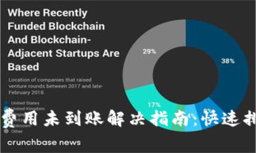 TPWallet矿工费用未到账解决指南：快速排查与处理方案