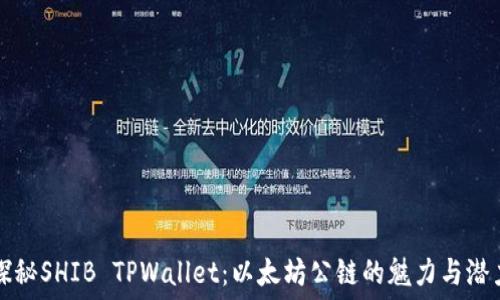   
探秘SHIB TPWallet：以太坊公链的魅力与潜力