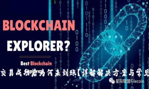 tpwallet交易成功后为何未到账？详解解决方案与常见问题解答