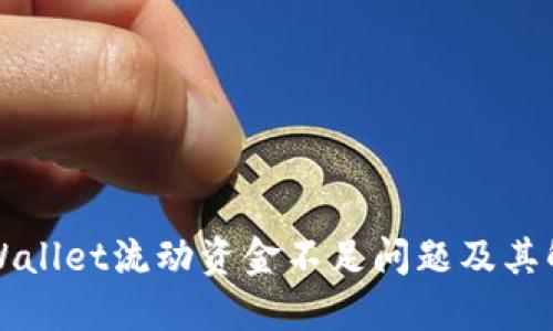 解读TPWallet流动资金不足问题及其解决方案