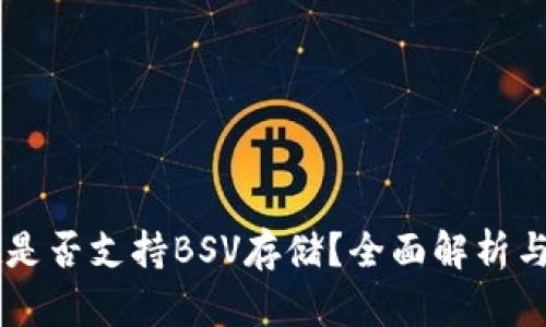 TPWallet是否支持BSV存储？全面解析与实用指南