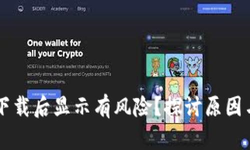 TPWallet下载后显示有风险？探讨原因与解决方案