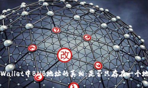 TP Wallet中BNB地址的真相：是否只存在一个地址？