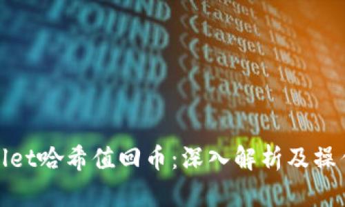 tpwallet哈希值回币：深入解析及操作指南
