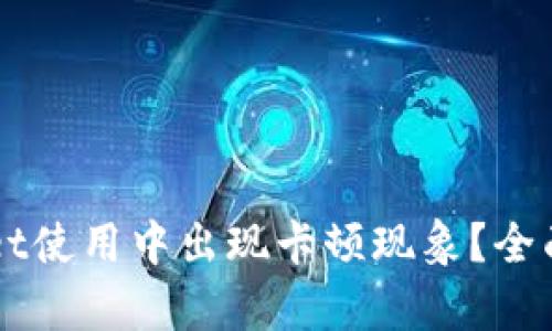 为何TPWallet使用中出现卡顿现象？全面解析与建议